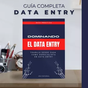Imagen de portada para Ebook DOMINANDO EL DATA ENTRY EN ESPAÑOL ( Guía práctica)