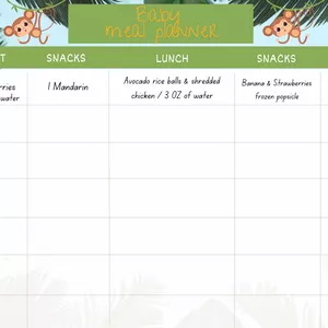 Cover image for Ebook Easy Baby Meal Planner