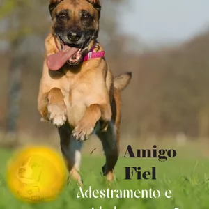 Imagem de capa para o Ebook Adestramento e cuidados com cães - Canil Mr. Beagle