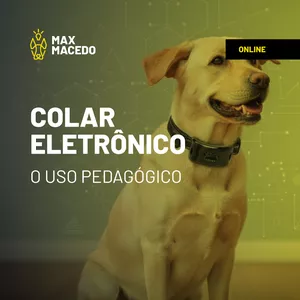 Imagem de capa para o Curso online 06 - Colar Eletrônico: O Uso Pedagógico