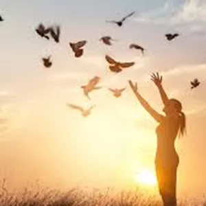 Imagem de capa para o Curso online Mentoria Feminina 