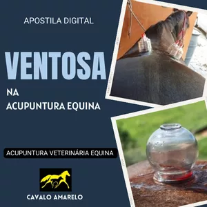 Imagem de capa para o Ebook Apostila digital - Ventosa na acupuntura equina