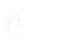 Card Magic Pro