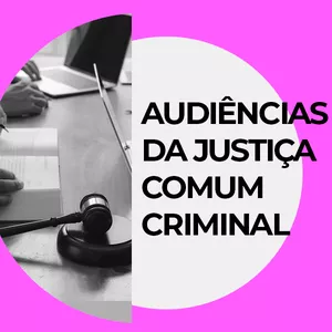 Imagem de capa para o Curso online Audiência Criminal de Instrução 03