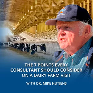 Cover image for Online course The 7 Points Every Consultant Should Consider on a Dairy Farm Visit with Dr. Mike Hutjens