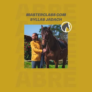 Imagem de capa para o Curso online Masterclass: carga horária do cavalo de intervenção