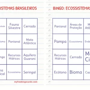 Imagem de capa para o Ebook BINGO ECOSSISTEMAS BRASILEIROS