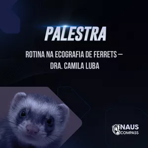 Imagem de capa para o Curso online Rotina na ecografia de ferrets – Dra. Camila Luba – 01h04min04s -  Data de Gravação - (09/12/2024) 
