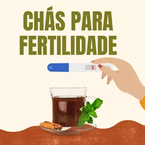 Imagem de capa para o Ebook Chás para Fertilidade: Chás que Ajudam a engravidar