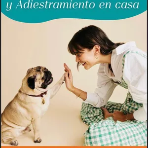 Imagen de portada para Curso online Bienestar Canino y Adiestramiento en casa