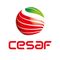 CESAF SRL's School