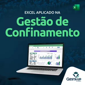 Imagem de capa para o Curso online Excel Aplicado na Gestão do Confinamento