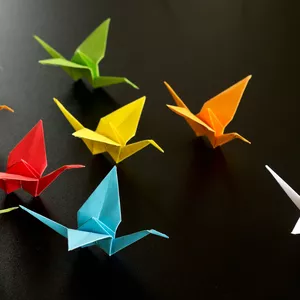 Imagen de portada para Curso online La magia del origami