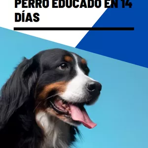 Imagen de portada para Ebook PERRO EDUCADO EN 14 DÍAS