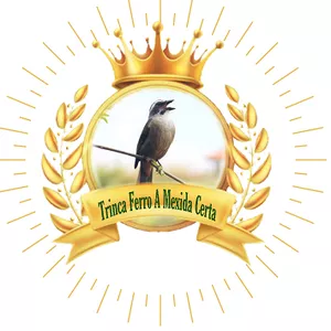 Imagem de capa para o Ebook Trinca Ferro a Mexida Certa