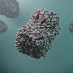 Imagem de capa para o Ebook A45 - MPOX: A NOVA ESTRATÉGIA OU CORTINA DE FUMAÇA?
