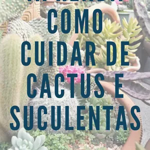 Imagem de capa para o Ebook Minha Primeira Suculenta e Cacto