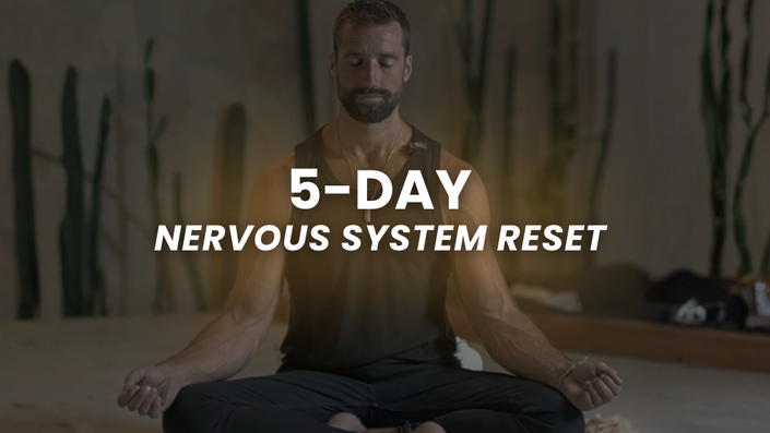 5-Day Nervous System Reset 
