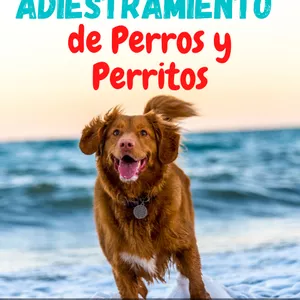 Imagen de portada para Ebook Técnicas de Adiestramiento Canino
