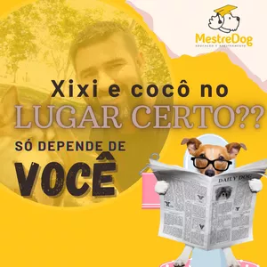 Imagem do curso Xixi e cocô no lugar certo SÓ DEPENDE DE VOCÊ