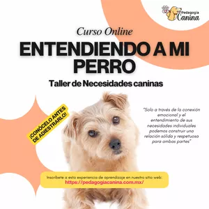 Imagen de portada para Curso online Conociendo a mi perro, Taller de Necesidades Caninas