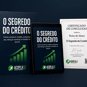 Imagem de capa para o Ebook Rating, O segredo do credito.