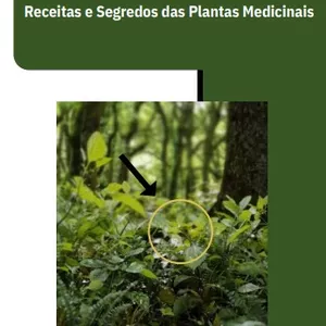 Imagem de capa para o Ebook Receitas e Segredos das Plantas Medicinais
