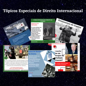 Imagem de capa para o Curso online Tópicos Especiais de Direito Internacional Público