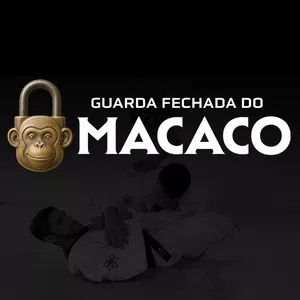Imagem de capa para o Curso online Imersão Online - A guarda do Macaco.