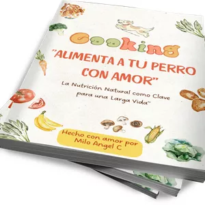 Imagen de portada para Curso online Alimenta tu Perro con Amor