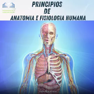Imagem de capa para o Ebook Anatomia e Fisiologia Humana para Técnicos de Radiologia