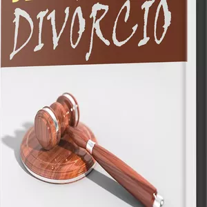 Imagem de capa para o Ebook Derrotando o Divórcio