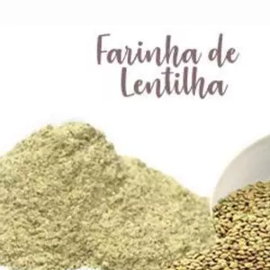 Curso  como fazer farinha de lentilha mini curso faça e venda