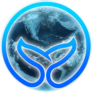 Imagen de portada para Curso online Whales Club