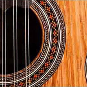 Curso de Viola Caipira>
