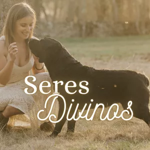 Imagem de capa para o Curso online Seres Divinos 