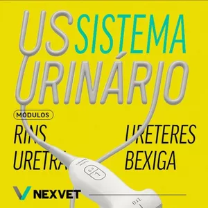 Imagem do curso Curso de Ultrassonografia do Sistema Urinário do Cão e do Gato