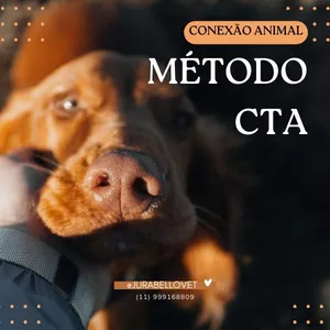 Imagem de capa para o Curso online Método CTA