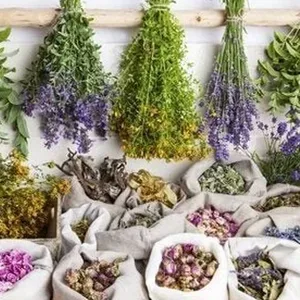 Imagem de capa para o Ebook ERVAS MEDICINAIS GUIA COMPLETO