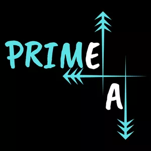 Imagem de capa para o Curso online Prime E A