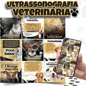 Imagem do curso Pack Ultrassonografia Veterinária