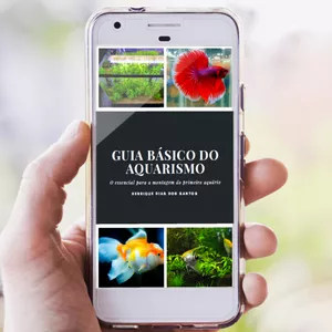 Imagem do curso Guia Básico do Aquarismo 
