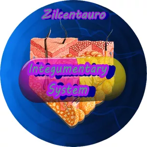Cover image for Online course Integumentary System By Zilcentauro