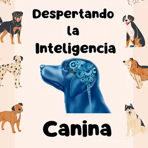 Imagen de portada para Curso online Despertando  la  Inteligencia Canina
