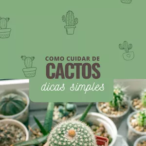 Imagem de capa para o Ebook Como Cuidar de Cactos: Dicas Simples 