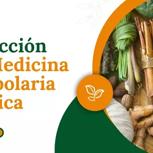 Imagen de portada para Curso online La Colección de Medicina Herbolaria Mágica