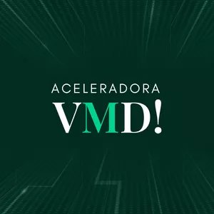 Imagem de capa para o Curso online Aceleradora VMD