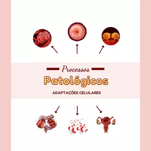 Imagem de capa para o Ebook E-book digital: Adaptações Celulares - Patologia Geral 