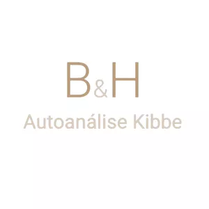 Imagem de capa para o Curso online Autoanálise Kibbe