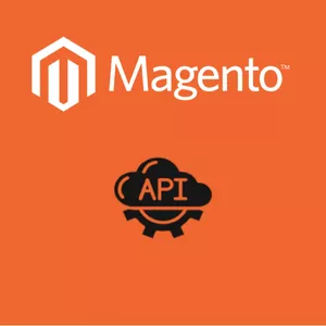 Imagem de capa para o Curso online Criando Api em Magento 2